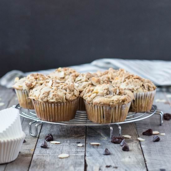 Cherry Chocolate Chip Muffins