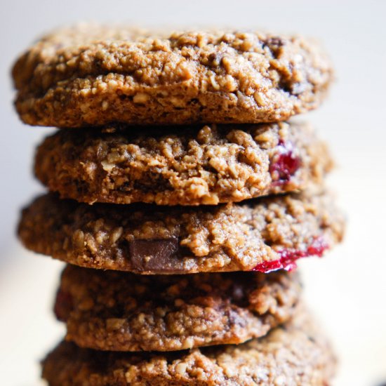 Cranberry Ginger Cookies