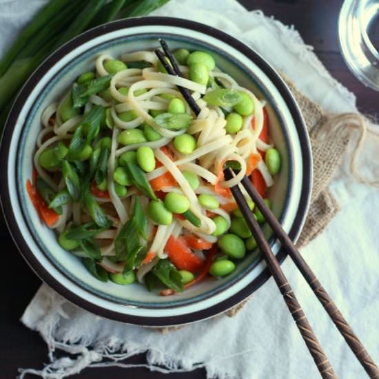 Udon Noodle Bowls