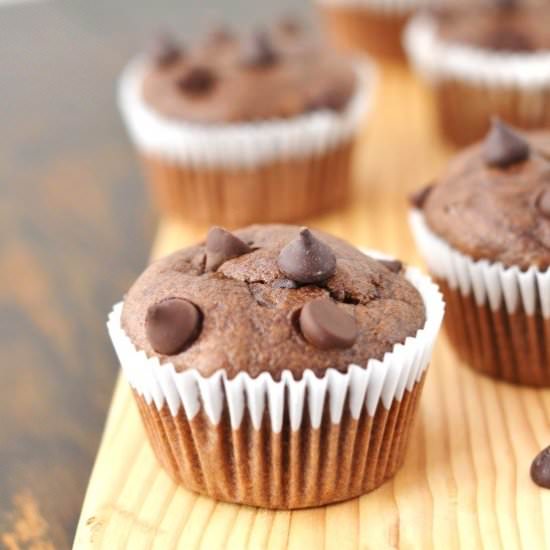 Paleo Double Chocolate Chip Muffins