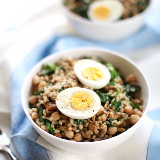 Spinach Barley Protein Bowl