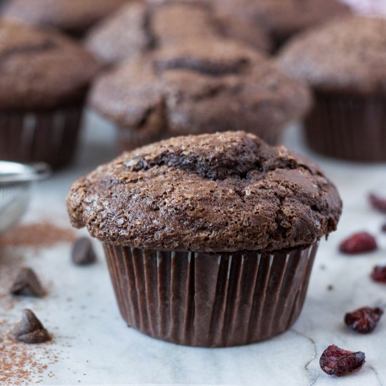 Double Chocolate Chip Muffins