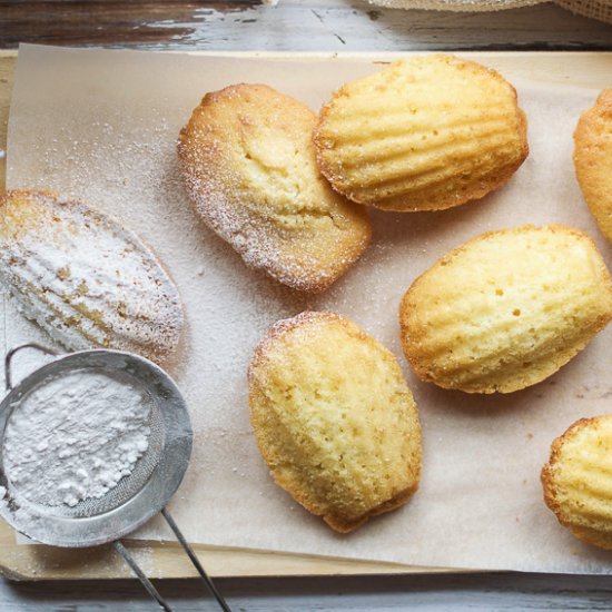 Lemon Madeleines