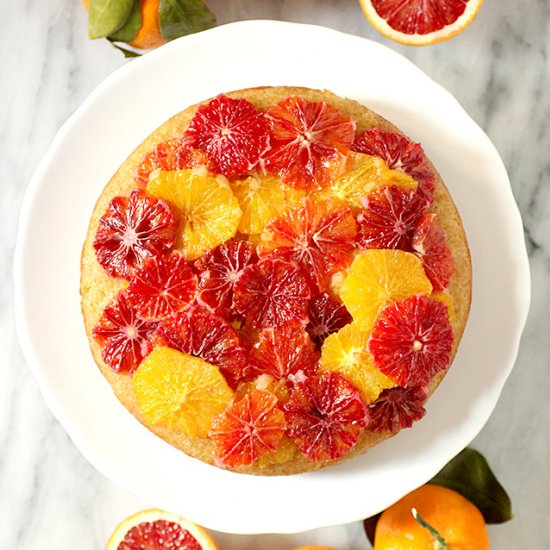 Fresh Blood Orange Cake