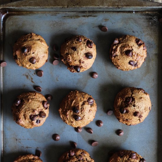 Chocolate Chip Coffee Muffins