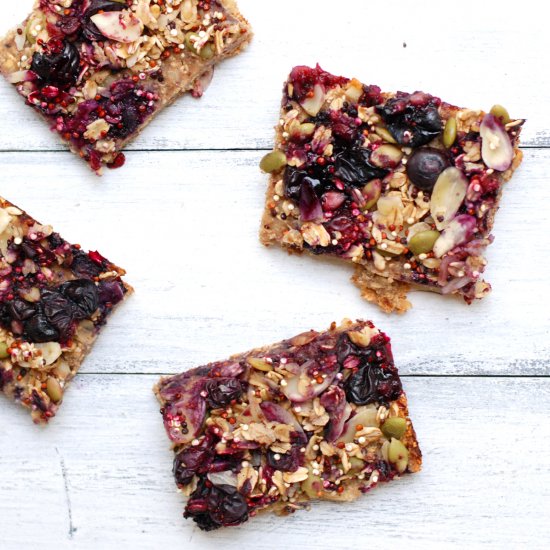 Blueberry Oatmeal Protein Bars