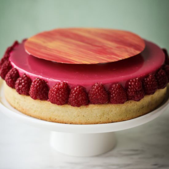 Raspberry Passion Fruit Mousse Tart