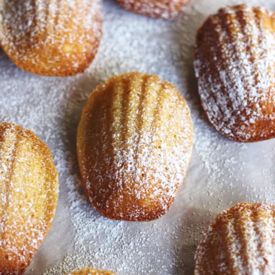 French Madeleines