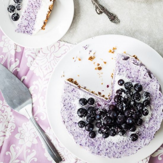 Vegan blueberry coconut frozen cake