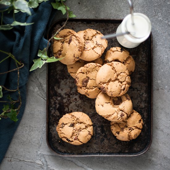 Chewy choc chip biscuit