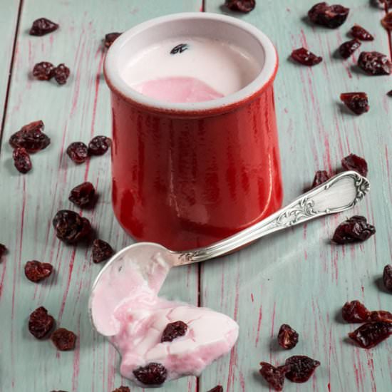 Cranberry yogurt