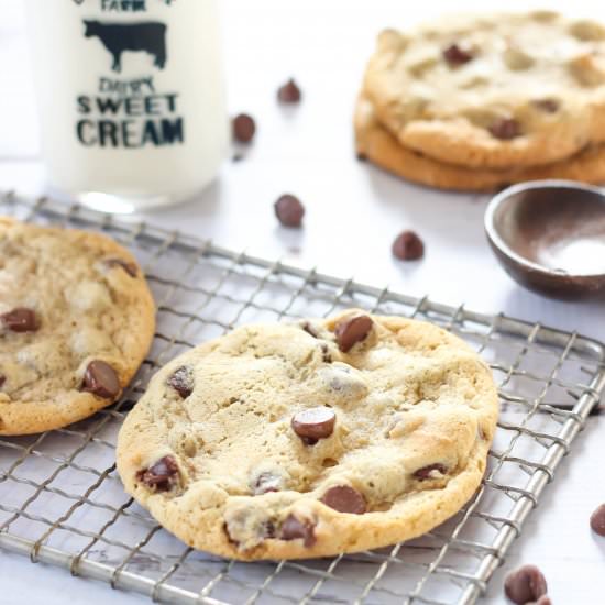 Classic Chocolate Chip Cookie