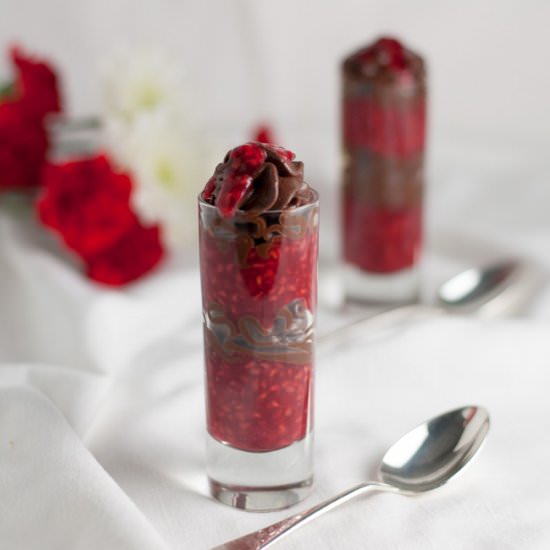 Chocolate Cream and Raspberry Sauce