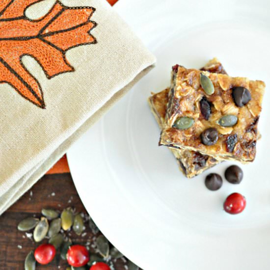 Healthy Harvest Squares