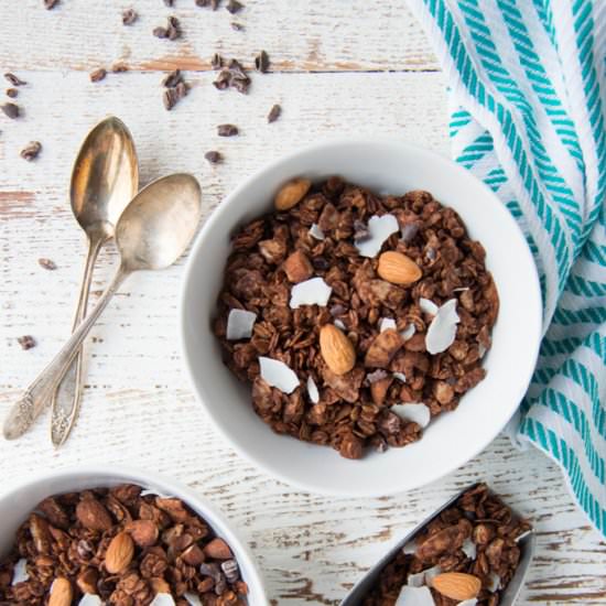 Double Chocolate Almond Joy Granola