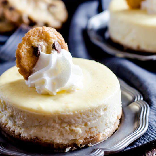 Mini Cookie Dough Cheesecake