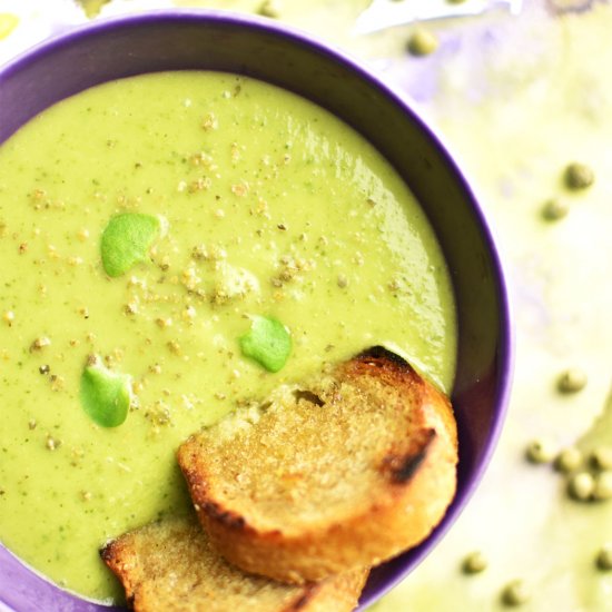 Cream of Zucchini Soup