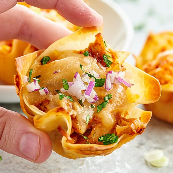 Chicken Wonton Cups