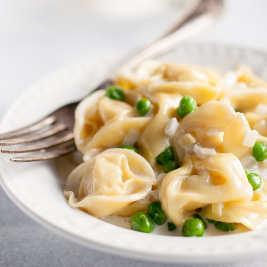 3 Cheese Tortellini Alfredo