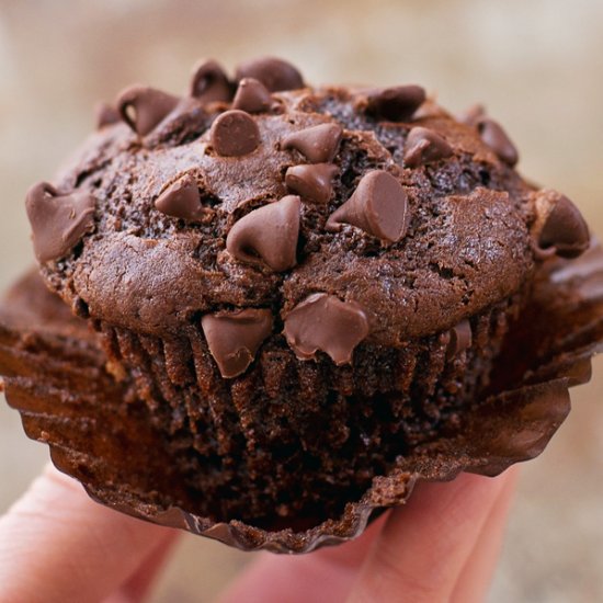 Double Chocolate Muffins