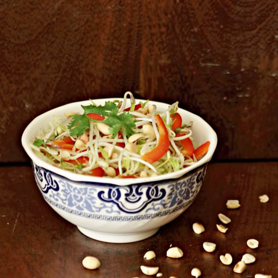 Thai Cabbage and Sprouts Salad