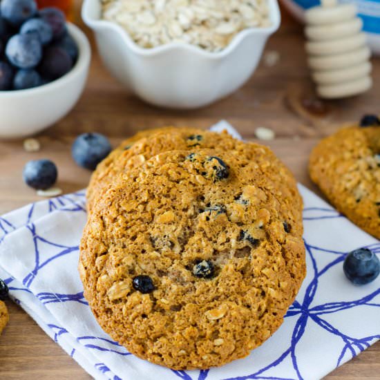 blueberry oatmeal protein cookies