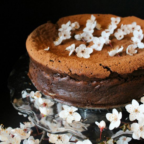 Plum Blossom Chocolate Torte