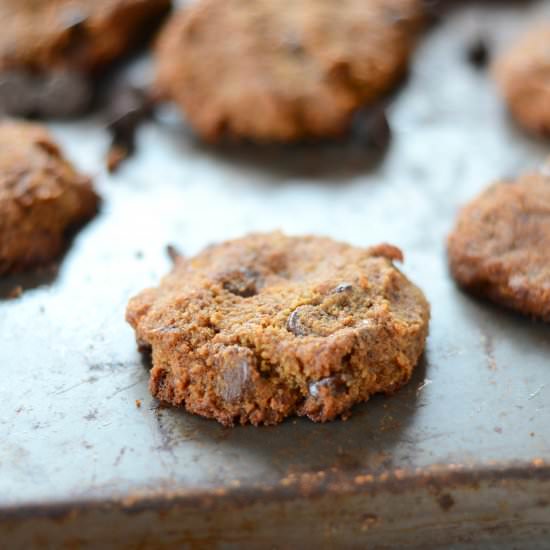 Coconut Flour Chocolate Chip Cookie