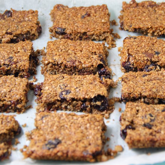 Chocolate Cranberry Flapjack