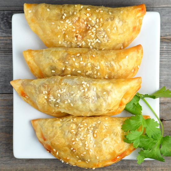 Argentinian Beef Empanadas