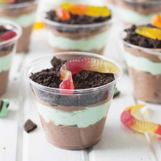 Dirt and Worm Cups