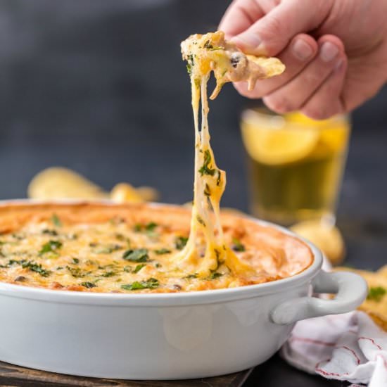 Chicken Enchilada Dip