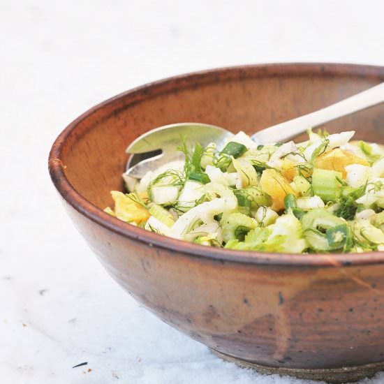 Fennel Slaw with Garlic Dresing