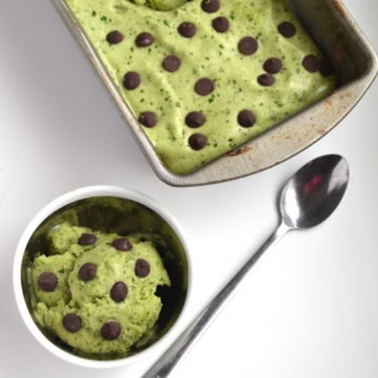 Mint Chocolate Chip Ice Cream