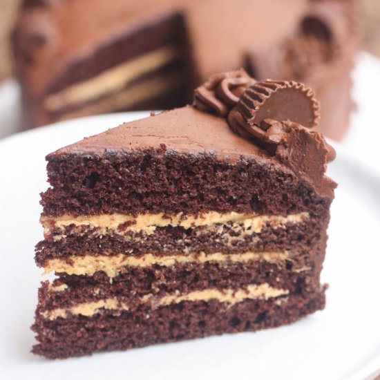 Chocolate Peanut Butter Cake