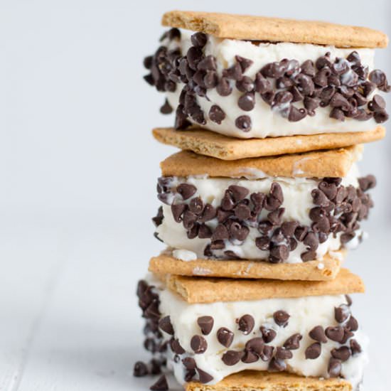 Frozen Yogurt Smores Sandwiches