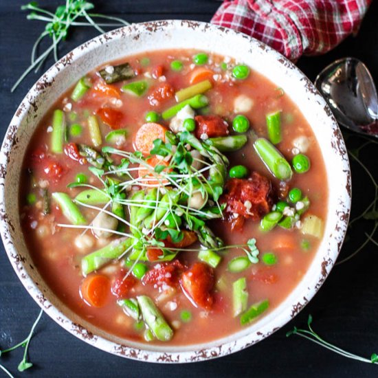 Slow Cooker Vegetable Minestrone