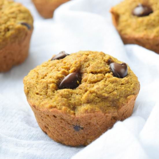 Pumpkin Oat Chocolate Chip Muffins