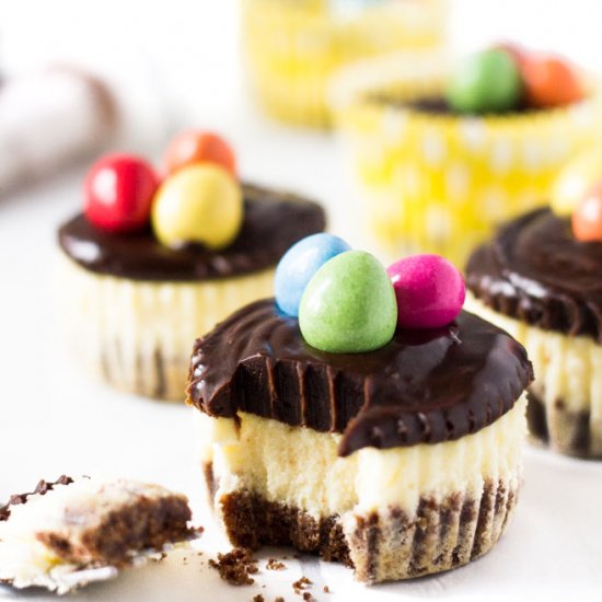 Mini Chocolate Easter Cheesecakes