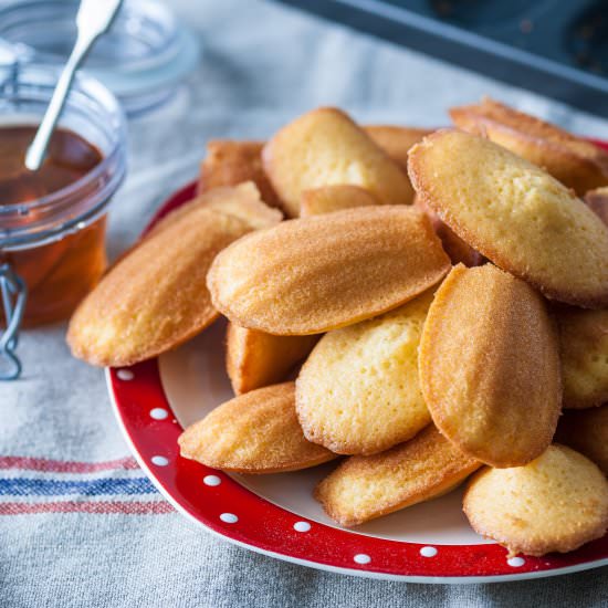 Honey-baked madeleines