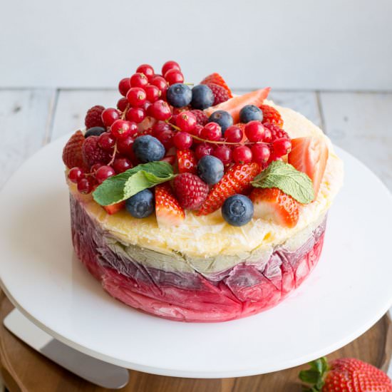 Frozen Fruit and Yoghurt Layer Cake