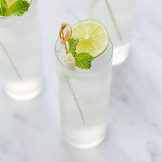 Lemongrass Gin and Tonic