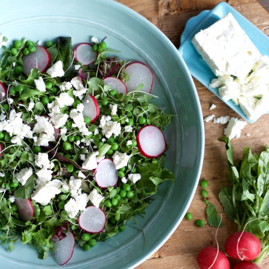 Spring Salad with Micro Greens