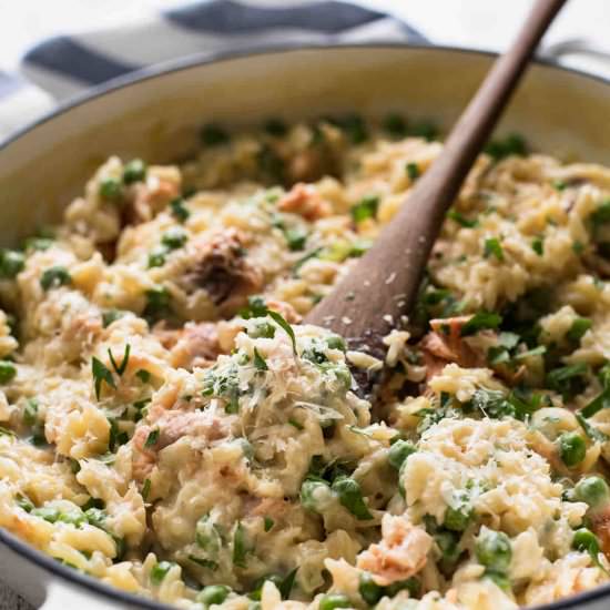 CREAMY SALMON RISONI / ORZO