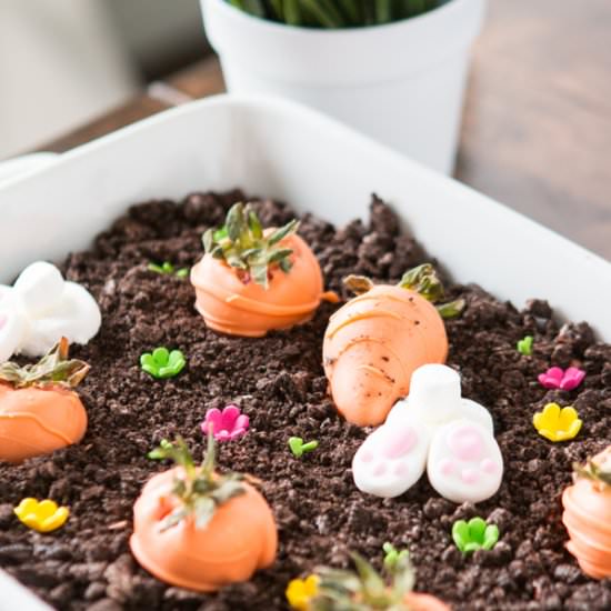 Chocolate Bunny Garden