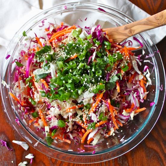 Super Fresh Rainbow Slaw