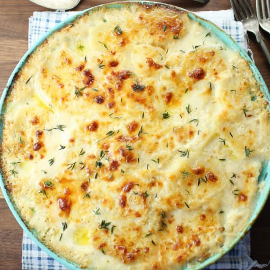 Potato Gratin