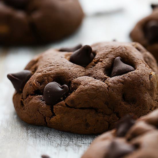 Fudgy Double Chocolate Cookies