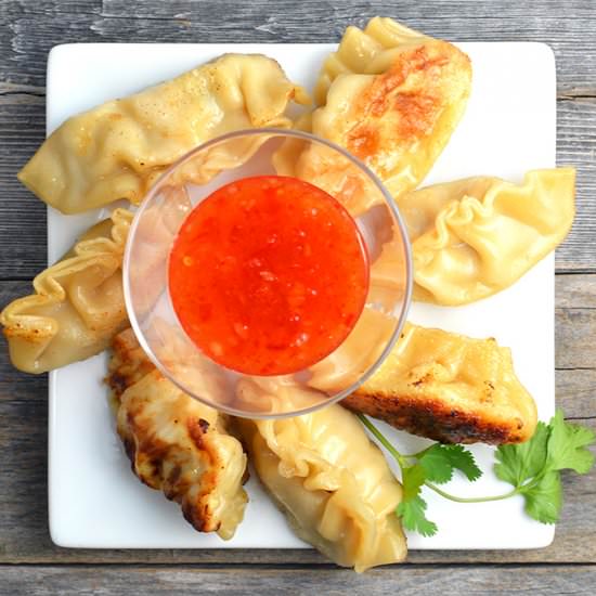 Asian Turkey Pot Stickers