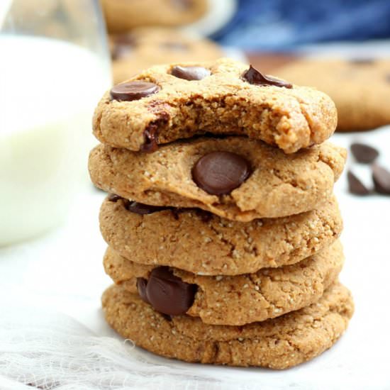 Chewy Paleo Chocolate Chip Cookies